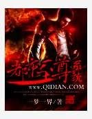 《都市至尊系统》