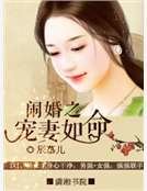 闹婚之宠妻如命