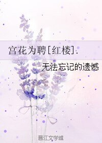 （红楼同人）宫花为聘[红楼]