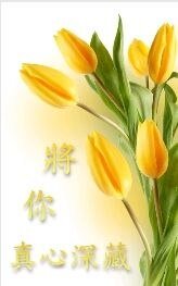 将你真心深藏