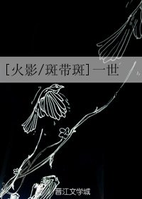 （BL/火影同人）[火影/斑带斑]一世