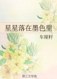 星星落在墨色裏