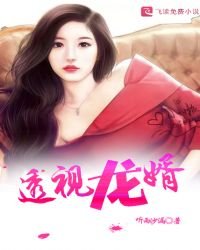 透視龍婿