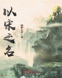 《以宋之名》