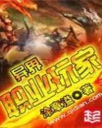 《异界职业玩家》