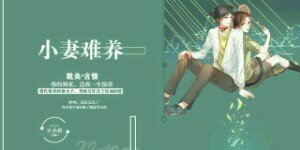 《小妻難養》