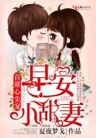 厉少养妻实录