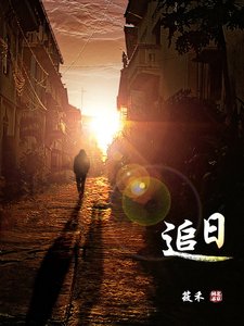 追日/小黃