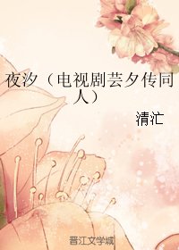 《(BG/电视剧芸夕传同人) 夜汐》