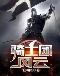 《骑士团风云》