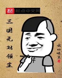 三國無雙領主
