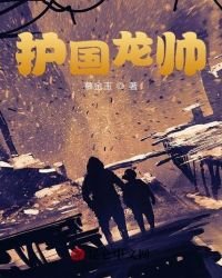 《护国龙帅》