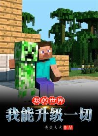 《我的世界:我能升级一切》