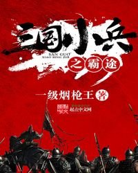 三国小兵之霸途