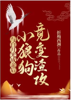 与白月光成亲后,小狼狗竟变渣攻/下堂男妻