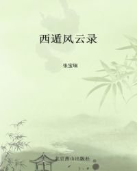 西遁风云录