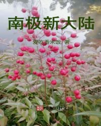 《南极新大陆》