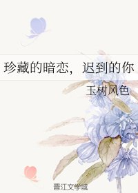 《珍藏的暗恋,迟到的你》