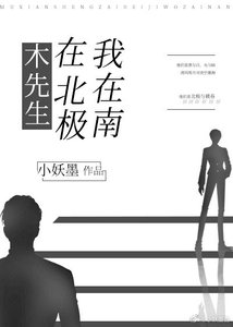 《木先生在北极,我在南》