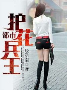 《都市护花兵王》