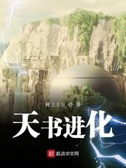 《天书进化》