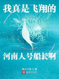 《我真是飞翔的河南人号船长啊》