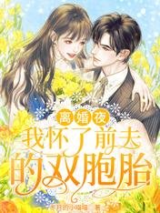 《离婚夜,我怀了前夫的双胞胎》