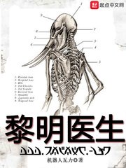 黎明醫生(瘟疫醫生)