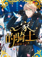 《DC家的骑士》