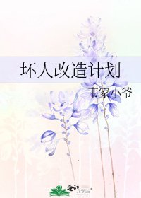 坏人改造计划