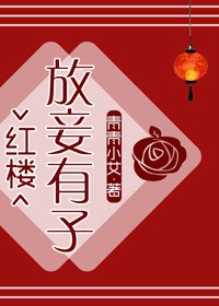（BG/红楼同人）[红楼]放妾有子