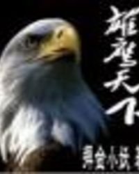 雄鹰天下