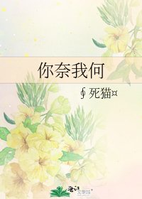 你奈我何