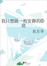 《我只想做一枚安静的卧底》