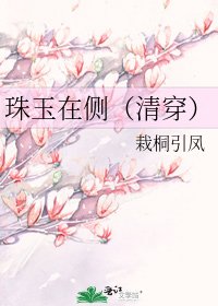 《珠玉在側(清穿)》