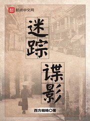 《迷踪谍影》