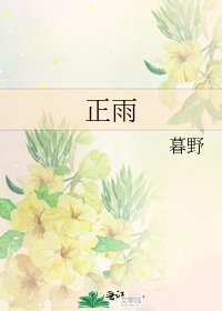 《正雨》