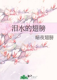 泪如的翅膀