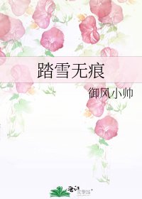 《踏雪无痕》