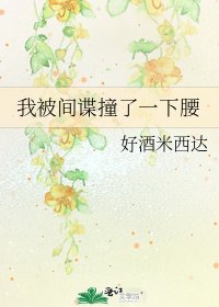 我被间谍撞了一下腰