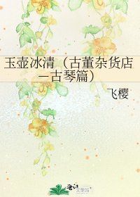 玉壶冰清（古董杂货店－古琴篇）