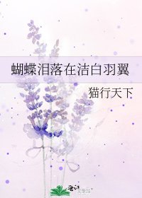《蝴蝶泪落在洁白羽翼》