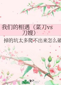 我们的相遇(菜刀vs刀嫂)