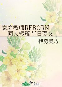 《家庭教师REBORN同人短篇节日贺文》