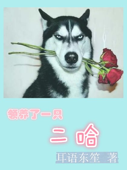 [综]领养了一只二哈