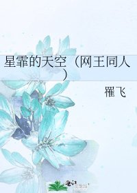 《星霏的天空(网王同人)》
