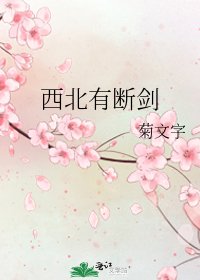 西北有断剑