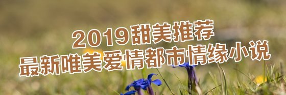 2019甜美推荐最新唯美爱情都市情缘小说
