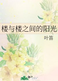 《楼与楼之间的阳光》