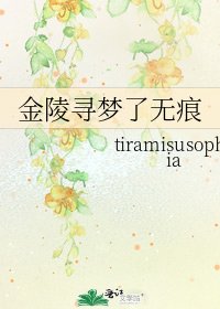 金陵尋夢了無痕